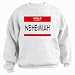 HELLO my name is NEHEMIAH Youth Sweatshirt (for Kids) Various Colors Available