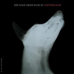 Der Name Dieser Band Ist Karpatenhund [Vinyl LP]