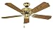 Ellington Ceiling Fans Ellington Collection 42 Model ELN42BB5 in Bright Brass. Indoor fan.