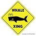 WHALE CROSSING - Sign - new xing watcher lover gift
