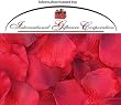 1000 Silk Rose Petals Wedding Favors - Solid Colors - Red