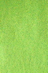 Light Green Crepe Paper Fold