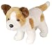 Benson - Jack Russell Terrier 7