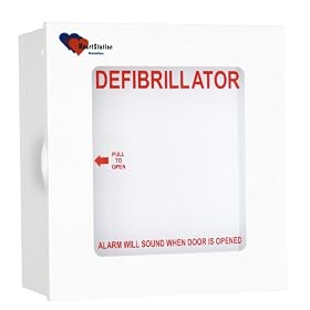 Cabinet Wall Basic Style with Alarm (Surface Mount) - 989803136531