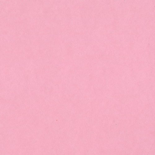 Bazzill Card Shoppe Heavyweight Cardstock 8.5