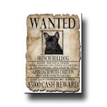 French Bulldog Wanted Fridge Magnet No 2