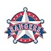 TEXAS RANGERS - Major League Baseball - Sticker Decal - #S101