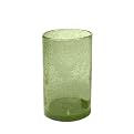 Bubble Tumbler Set of 4 - Palm