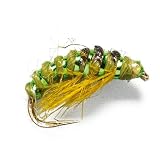 Oliver Edwards Rhycophila Larva