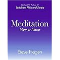 Meditation Now or Never (Paperback)
