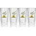 Tervis Tumbler Sunset 16-Ounce Double Wall Insulated Tumbler, Set of 4