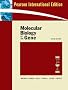 Molecular Biology of the Gene: International Ed