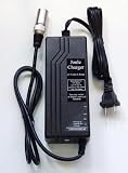 Joule 12V 6A Charger