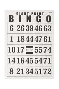 Amazon.com : Giant Print Bingo Card : Bingo For Visually Impaired ...