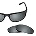 Revant Polarized Replacement Lenses for Ray Ban Predator 2 RB2027 Black Chrome MirrorShield