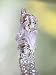 Swarovski Crystal Disney Collection, Bashful