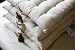 Kitchen & Housewares : Cream Seat Pad 40x40cm a Chair Cushion with a Handle /100% Cotton/Homescapes Brand / Well Filled/Easy Care/ Washable At Home