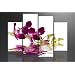 Image sur toile 130 x 80 cm Mod�le N� XXL 6132 orchid�e Tableaux pour la mur, encadr�s, pr�ts � poser, tout les images sur ch�ssis g�ant bois v�ritable.