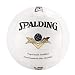 Sporting Goods : Spalding Official AVA Gold Tournament Ball