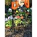 Tools & Hardware : BULB BOPPER FLOWER BULB PLANTER