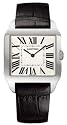 Cartier Santos Dumont w2007051