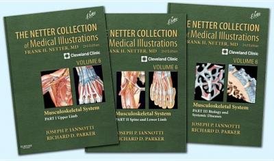 [(The Netter Collection of Medical Illustrations- Musculoskeletal System Package: Volume 6)] [Author: Joseph P Iannotti] published on (April, 2013)