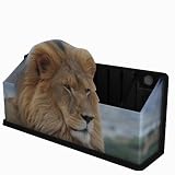 Got Yo Gifts Lion Fun Caddy