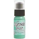 Ranger January Cracked Pistachio Tim Holtz Distress Paint Bottle, 1 oz