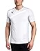 Puma Esito 3 Shirt