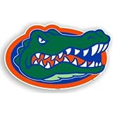 BSS - Florida Gators NCAA 12 Car Magnet"