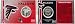 Atlanta Falcons NFL Team History Coin Card