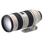 Canon EF 70-200mm f/2.8L IS USM Telephoto Zoom Lens for Canon SLR Cameras