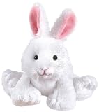 Webkinz Rabbit & Lil Kinz Rabbit Set