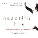 Beautiful Boy: A Father's Journey through His Son's Meth Addiction | David Sheff