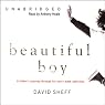Beautiful Boy: A Father's Journey through His Son's Meth Addiction