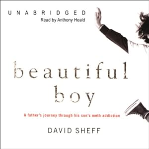 Beautiful Boy: A Father's Journey through His Son's Meth Addiction
