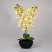 Silk Orchid Artificial Flower Arrangements with Leaves- Double Phalaenopsis Plant Yellow