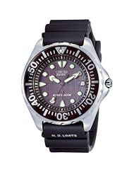 Citizen BN0000 04H Eco Drive Professional Rubber
