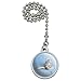 Siberian Tabby Kitten Cat Sitting Reading Book Ceiling Fan and Light Pull Chain