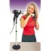 Hair Dryer Stand