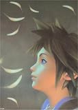 Kingdom Hearts 2 Sora Poster HC643