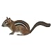Wall Sticker Mural Chipmunk