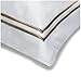 Pinzon Hotel Stitch 400-Thread-Count Egyptian Cotton Sateen European Sham, White with Taupe Stripes