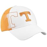 Nike Tennessee Volunteers White Sidewaller Swoosh Flex Hat