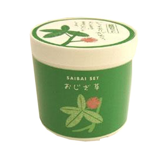 ごあいさつ栽培3個セット GRE42081 おじぎ草 4028g