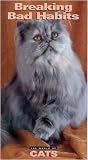 The World Of Cats - Breaking The Bad Habits
