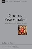 God the peacemaker : how atonement bring Shalom