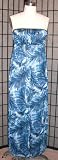 APSARA Bakari Maxi Tube Silk Dress in Angels Aqua Print