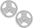 Hantelscheiben Guss-Gripper 30/31mm - 40Kg (2x20) Hantelscheiben aus Guss mit Hammerschlag Lackierung