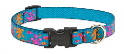 Lupine 3/4-Inch Wet Paint 13-Inch to 22-Inch Adjustable Dog Collar